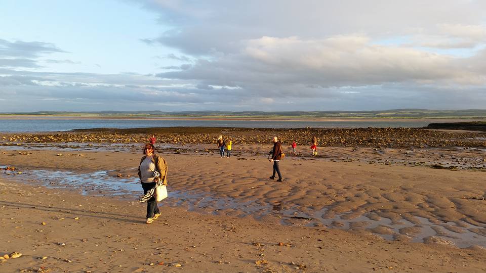 19399003_10154429649171805_4509297819737855616_n