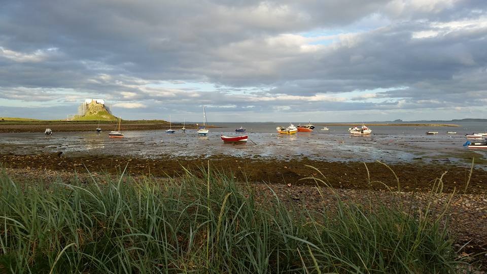 19400054_10154429645781805_4156806894185150538_n