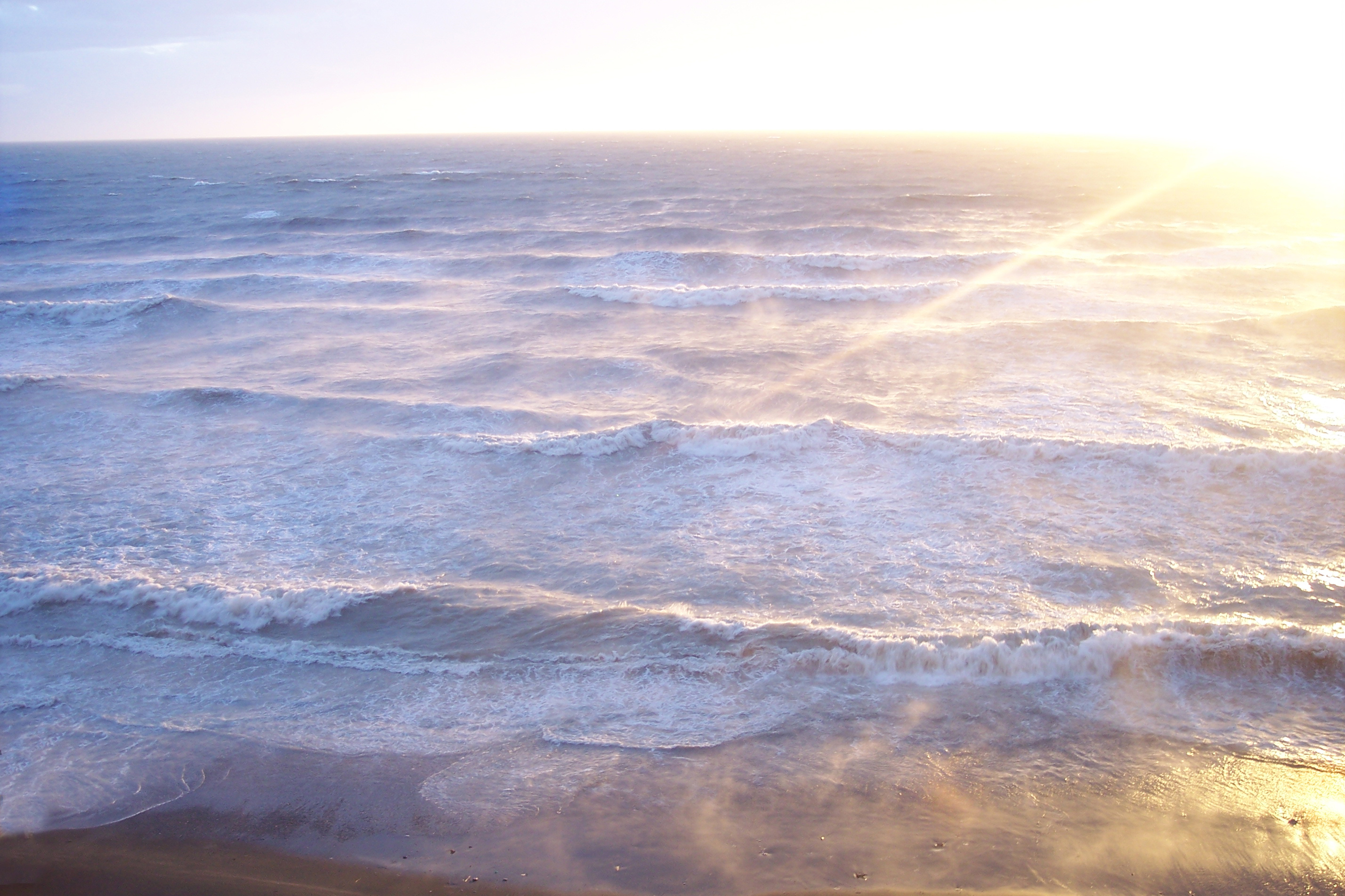 FreeImages.com/tatlin